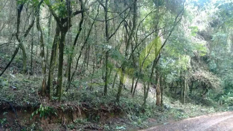 Imagem Terreno à Venda: 3.370m² em Loteamento a 2km da R. Fernão Dias