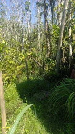 Imagem LOTE DE TERRENO PRAIA ITAMAMBUCA - UBATUBA