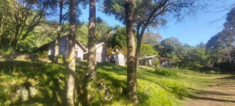 Imagem Chácara - Sítio com 4 Dormitorio(s) localizado(a) no bairro Carapina em São Francisco de Paula / RIO GRANDE DO SUL Ref.:1536