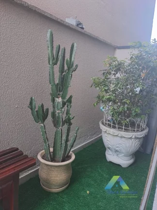 Imagem Apartamento à venda no bairro Parque das Nações - Santo André/SP