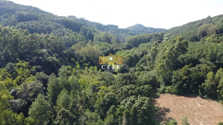 Imagem Chácara - Sítio com 1 Dormitorio(s) localizado(a) no bairro Pinhal Alto em Nova Petrópolis / RIO GRANDE DO SUL Ref.:1472