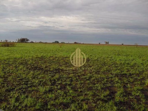 Imagem Fazenda no Pantanal