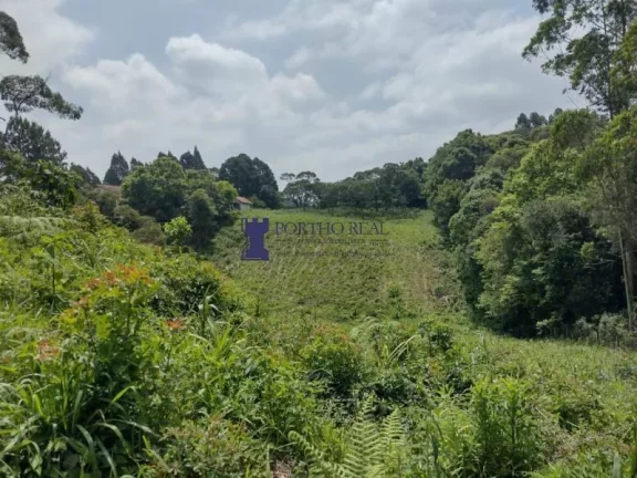 Imagem ÁREA RESIDENCIAL COM 10.000M²