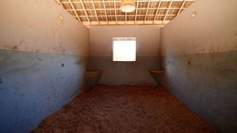 Imagem Haras de Luxo à Venda em Bragança Paulista