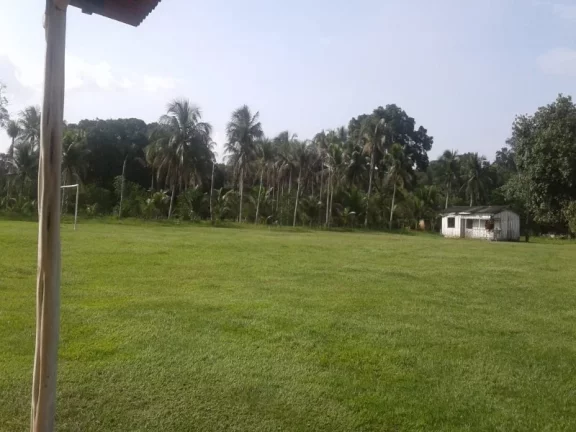 Imagem Lindo e confortável sítio na estrada de Itacoatiara , no km 58 , com casa , piscina e plantações