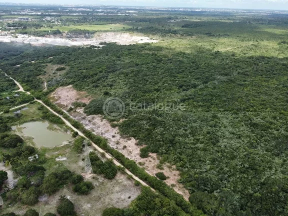 Imagem Excelente área em Macaíba - 80ha