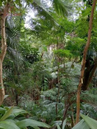 Imagem Apartamento no Condomínio Floresta - 42m² - 2 dormitórios