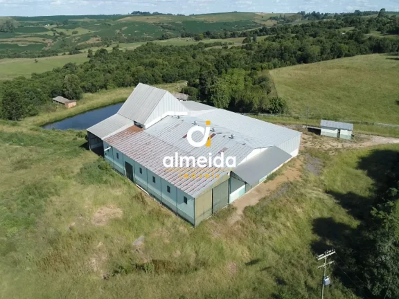 Imagem Área à venda com 10.95 ha frente para BR 392 e 7 km de São Sepé (RS)