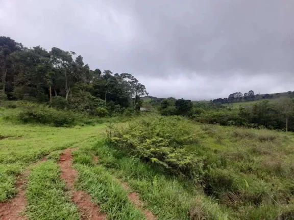 Imagem Fazenda à venda em Antônio Carlos, 540ha