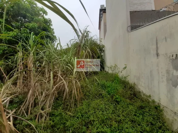 Imagem Terreno para Venda em Santo André, Parque das Nações