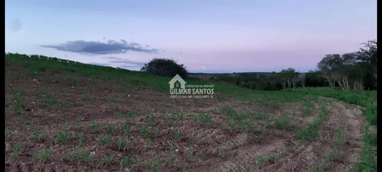 Imagem Lote/Terreno no bairro zona rural, em Sítio do Quinto