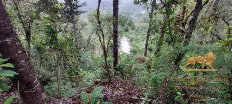 Imagem Terreno à venda, 5170 m² por R$ 350.000,00 - Descansópolis - Campos do Jordão/SP