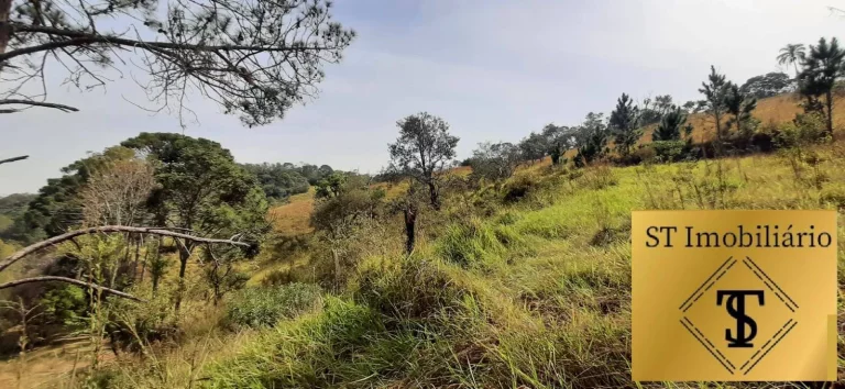Imagem Sítio Atibaia Com 72.000 m² Bem Localizado