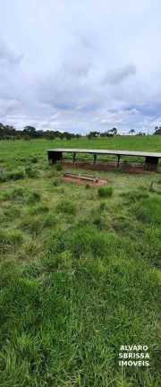 Imagem Vende/Permuta - Fazenda 390 Alqueires com Estrutura Completa a 120km de Porto Velho/RO