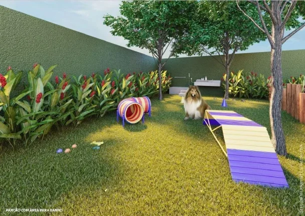 Imagem Apartamento Padrão