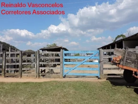 Imagem FAZENDA RURAL À VENDA NA CIDADE DE CRUZEIRO