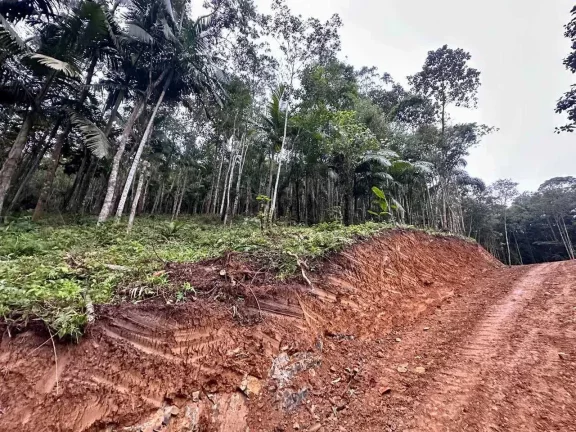 Terreno rural com 30.142,92m² em Massaranduba/SC