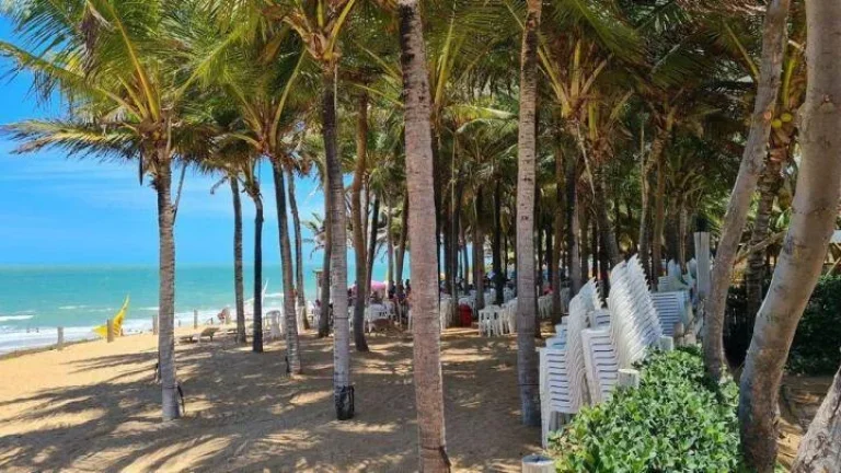 Imagem Apartamento para alugar por temporada em Canoa Quebrada