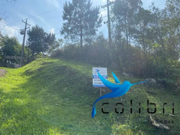 Imagem Terreno à Venda, 730 m² em Quatro Pinheiros - Mandirituba
