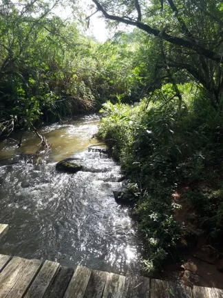Imagem Sítio à venda no bairro Biguá - Delfim Moreira/MG