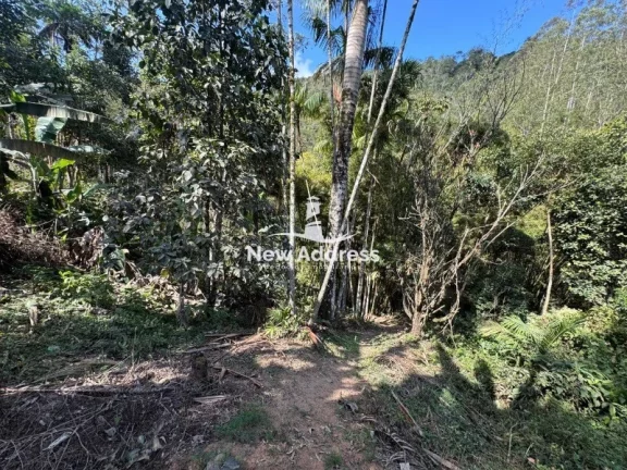 Imagem Terreno com nascente à venda em Soído de Cima - Domingos Martins