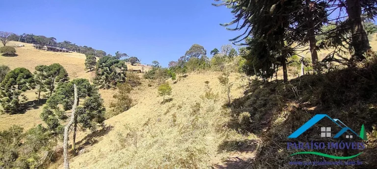 Imagem Conecte-se à Natureza: Terreno Rural com Nascente e Vista Panorâmica!
