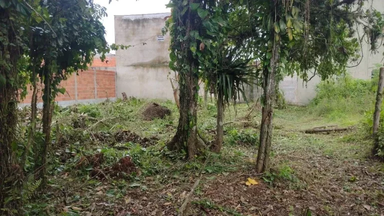 Imagem LOTE DE TERRENO JARDIM DAS GAIVOTAS - CARAGUATATUBA