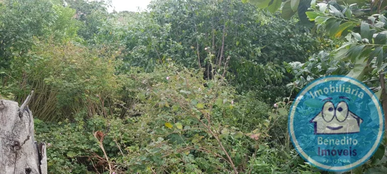 Imagem VENDO TERRENO 2500METROS BEM LOCALIZADO EM COROA VERMELHA