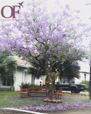 Imagem Linda casa terrea 4 suites - Portal Japy Golf Club - Cabreúva - SP