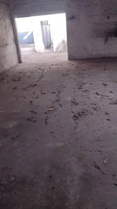 Imagem Mais interessante do que parece à primeira vista