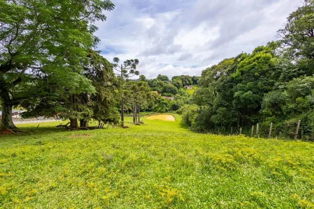 Imagem Terreno área no Cercadinho em Campo Largo 11.216m²