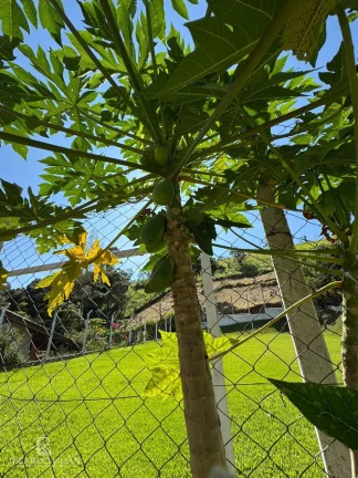 Imagem Maravilhosa chacara em Atibaia com 1100m² e 150m² de area construida - 3 Dormitorios sendo uma suite - A VENDA!!!