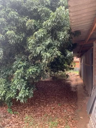 Imagem VENDE-SE CHÁCARA EM CAMPINAS - SP