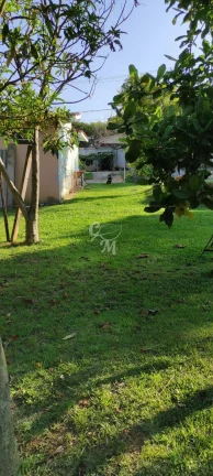 Chácara com muito verde na Roseira
