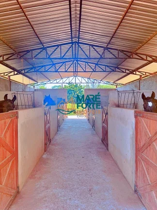 Imagem OPORTUNIDADE - LINDO HARAS A VENDA EM LAGOINHA SP