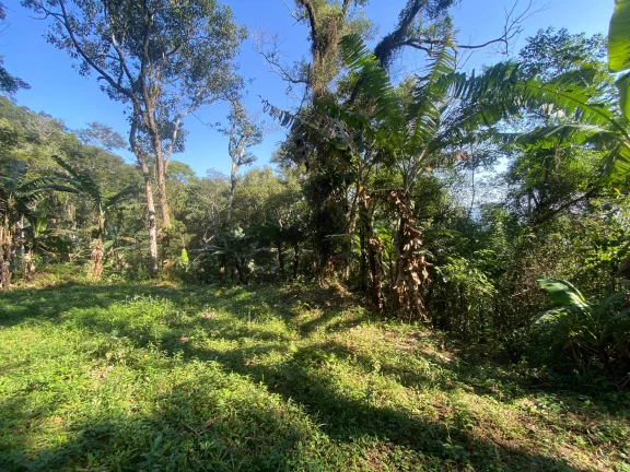 Imagem Terreno à venda em Garopaba-SC, bairro Ressacada, com 172.989,94 m² de área! Venha conferir!