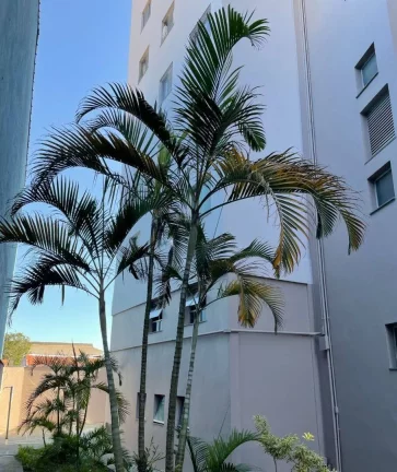 Imagem Apartamento com 2 dormitórios à venda, 50 m² por R$ 345.000,00 - Vila Palmares - Santo André/SP