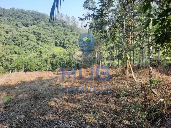 Imagem Terreno rural com 3.000 m² no Bairro Alto Pitanga, Nova Trento/SC