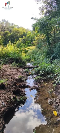 Imagem Sítio a venda em Itapetininga SP