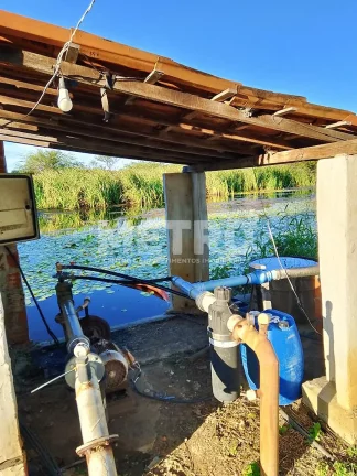 Imagem Fazenda de com 20 hectares produzindo e com Infraestrutura, CASA NOVA - BA