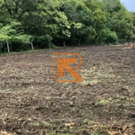 Imagem Sua Oportunidade de Investimento em Formosa-GO