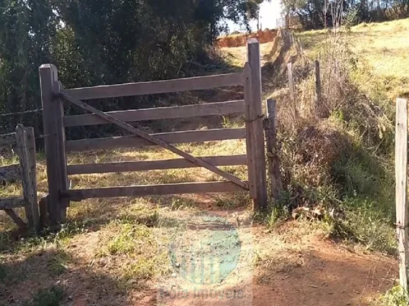 Imagem Sítio planta café 22,34 alqueires, terra vermelha, casa, água, galpão - Zona Rural - Biguatinga l de Minas Gerais