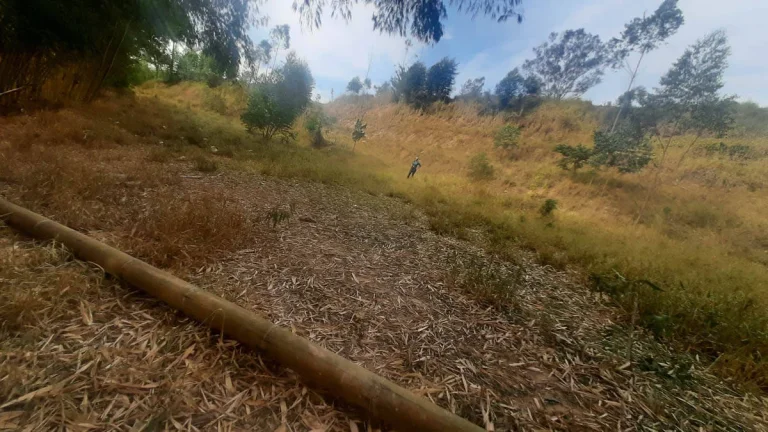 Imagem Sítio/Haras com 222.000m2 em Atibaia - SP.