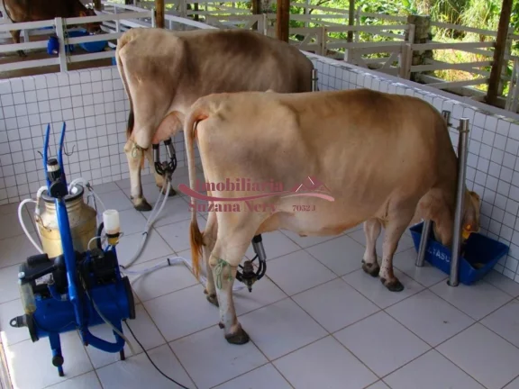 Imagem TERRENO NO CONDOMÍNIO FAZENDA REAL