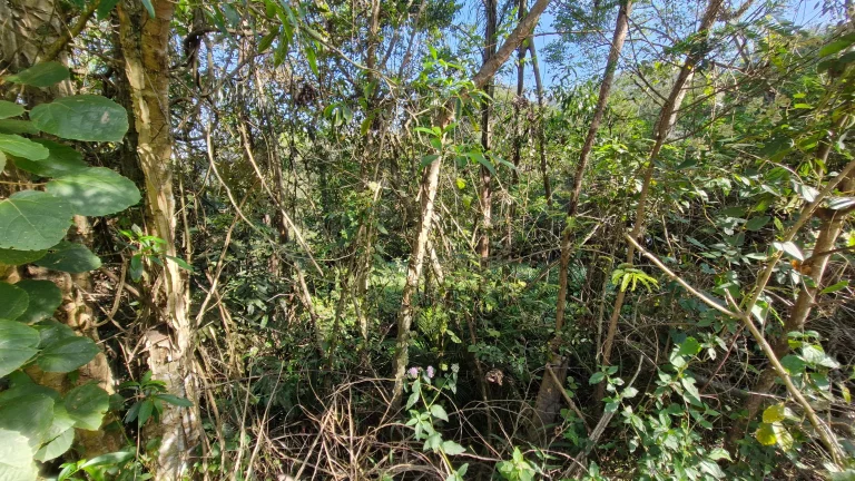 Imagem Terreno à venda no Siriú, Garopaba (SC), com 700m², leve declive e vista para o mar. A apenas 2km da praia, com água, luz e possibilidade de regulariz