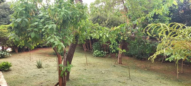 Imagem CHÁCARA COMPLETA - CHÁCARAS RECREIO ALVORADA - HORTOLÂNDIA