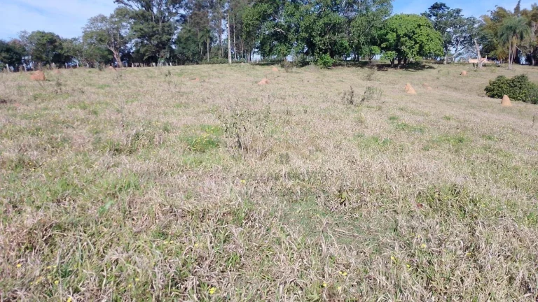 Imagem Sítio 3 Alqueires em Tatuí Bairro Congonhal de Cima por R$ 630.000,00 com escritura