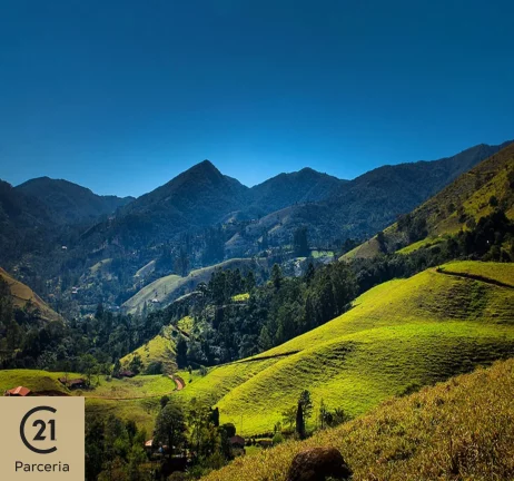 Imagem Fazenda/Pousada ;Oportunidade Negocio, 120.000 m2 em Sao Francisco de Xavier, Paraiso preservado