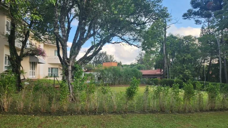 Imagem Residência Imponente em Esquina Privilegiada no Residencial Alphaville 9