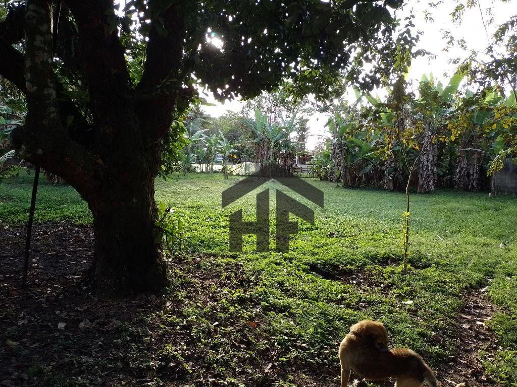 Imagem Chácara com 4 Quartos à Venda, 30.000 m² em Aldeia - Camaragibe Imagem Chácara com 4 Quartos à Venda, 30.000 m² em Aldeia - Camaragibe